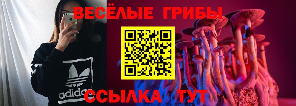 цены   Вход с VPN  Псилоцибиновые грибы Psilocybe  Балахна  Галлюциногенные грибы MAGIC MUSHROOMS 